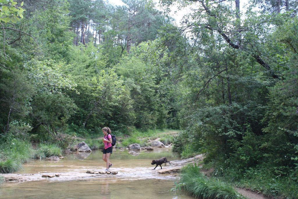 La Trobada Hotel Sport Ripoll Εξωτερικό φωτογραφία